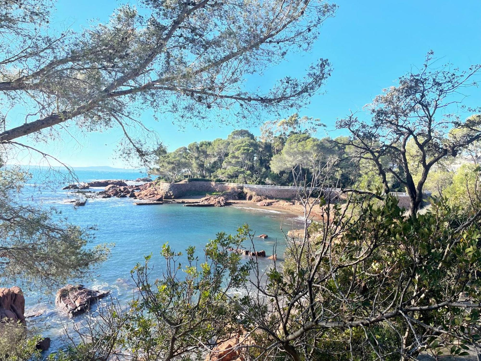 2 Pieces Saint Raphael Renove, Classe 4 Etoiles, 100 M Plages, Piscine, Tennis, Parc, Terrasse, Jardin Privatif מראה חיצוני תמונה